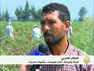 دور المرأة المصرية فى القطاع الزراعى