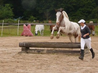 Concours Equifeel 10.06.12 Marcousis