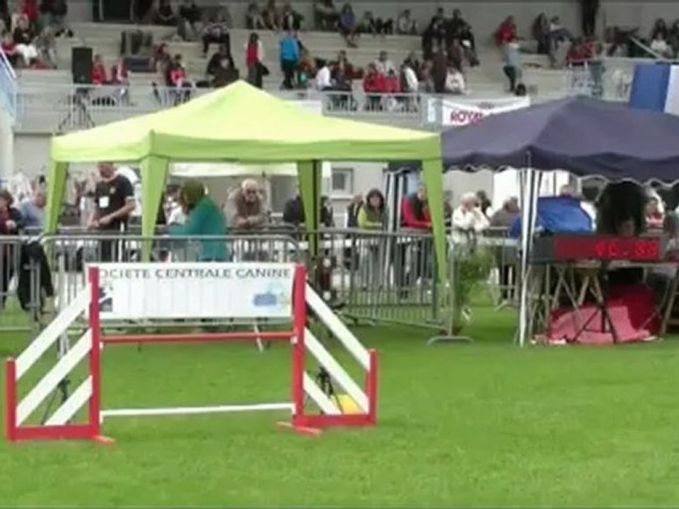 Championnat De France Agility Panazol Chaina & Alain