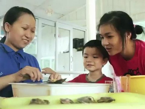 Bhaya Cruises: Luxury cruises in Halong Bay, Vietnam