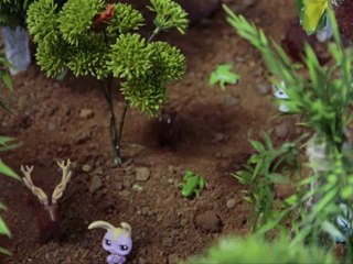 La tigresse et le Singe, La course entre amis