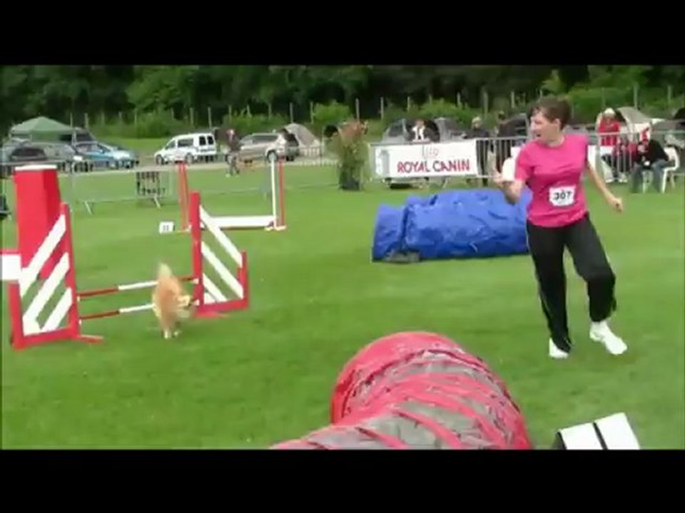 Championnat De France Agility  Panazol Laura & Eden Vice Champion de France