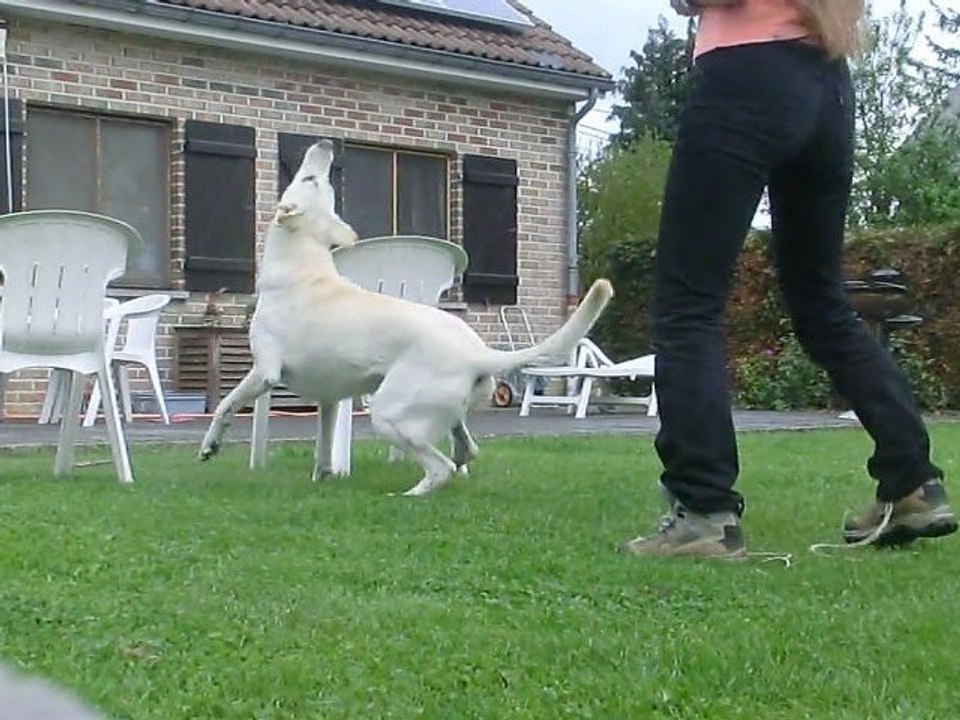 entrainement back - suite