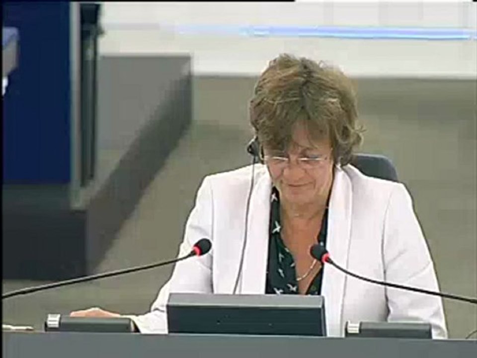 Leonidas Donskis on EU Special Representative for Human Rights