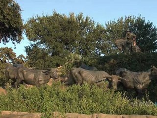 The Museums of Dallas, Texas