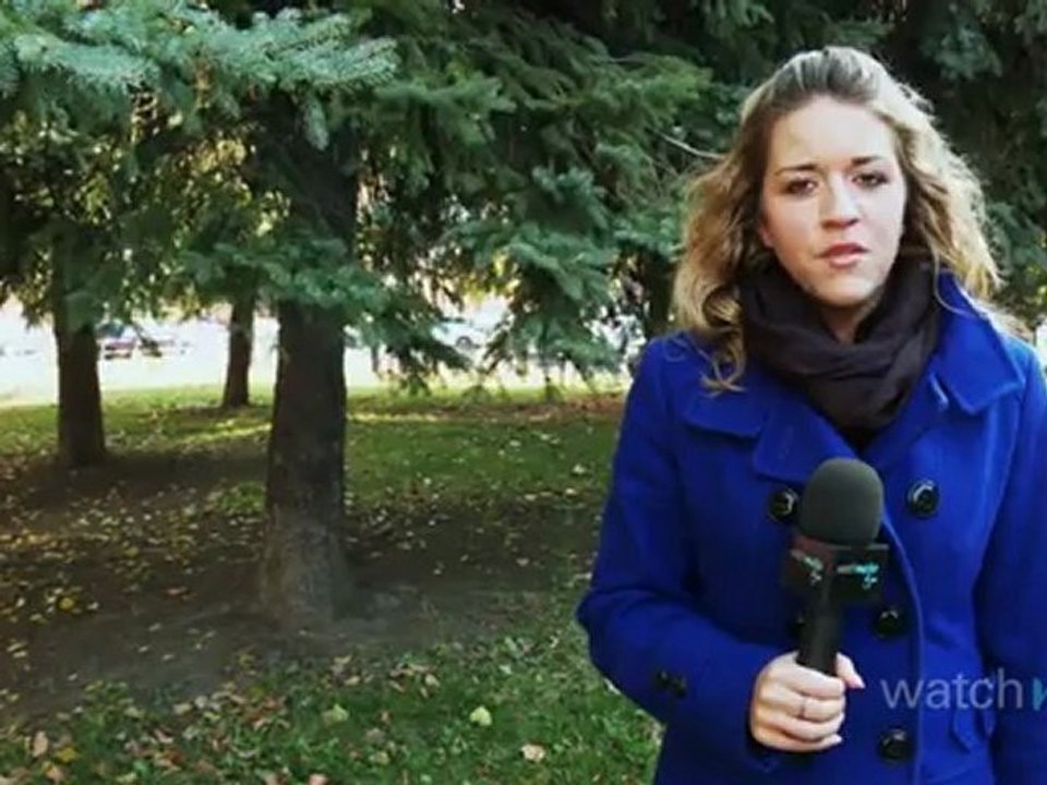 Alzheimer's Disease: Risk Factors, Prevention