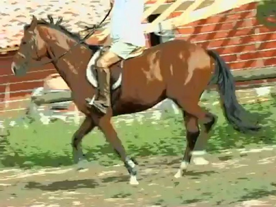 Prince (aa 4 ans) équilibre..1er sauts