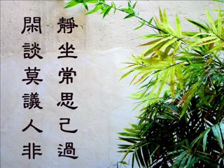 2009-10-31 - If A Picture Paints A Thousand Words.....