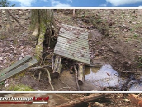 Arlington Heights Water Damage Company