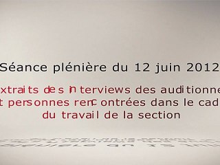 Extraits des interviews pour l'avis droits sociaux des jeunes - cese