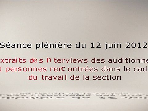 Extraits des interviews pour l'avis droits sociaux des jeunes - cese