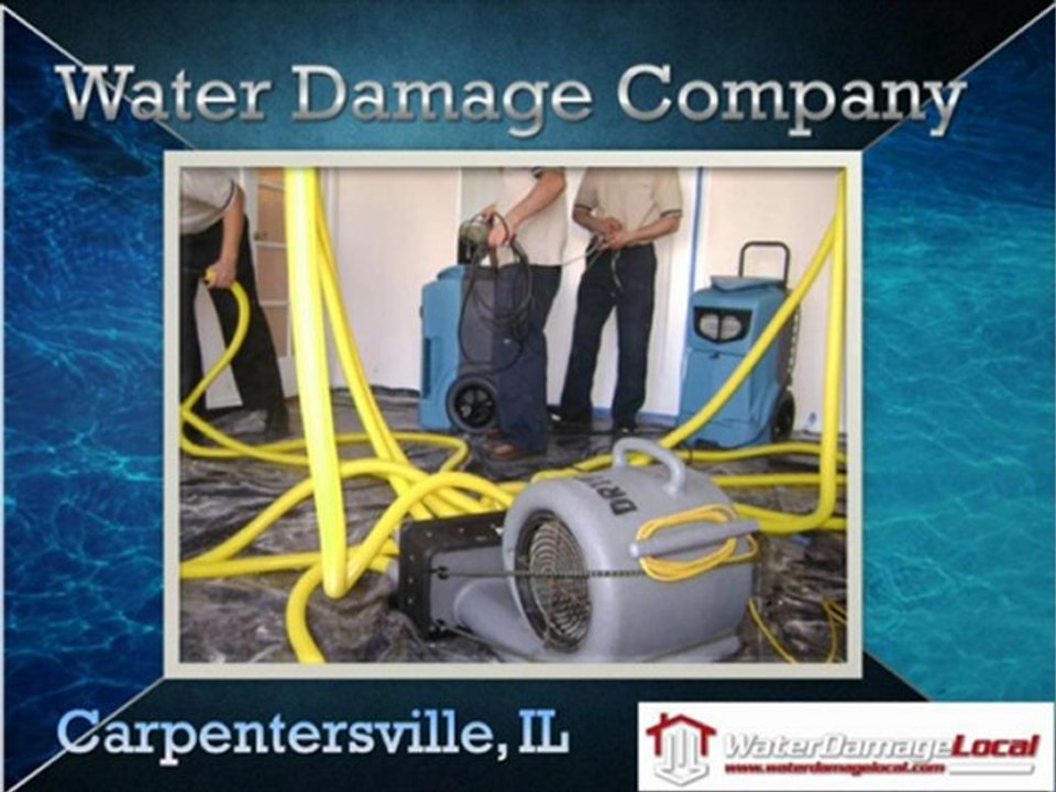Water Damage Company for Carpentersville, IL - Water Damage Local