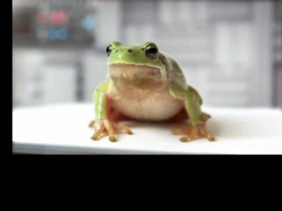 THE ENGINE RENAULT WIN THE F1 GRAND PRIX OF MONACO - A NEW E