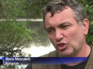 La baie de Guanabara souffre d'une pollution sans précédent