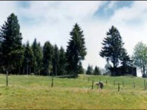 TONYA / horon güzel yakışır TONYALI uşaklara