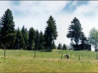 TONYA  /  horon güzel yakışır TONYALI uşaklara