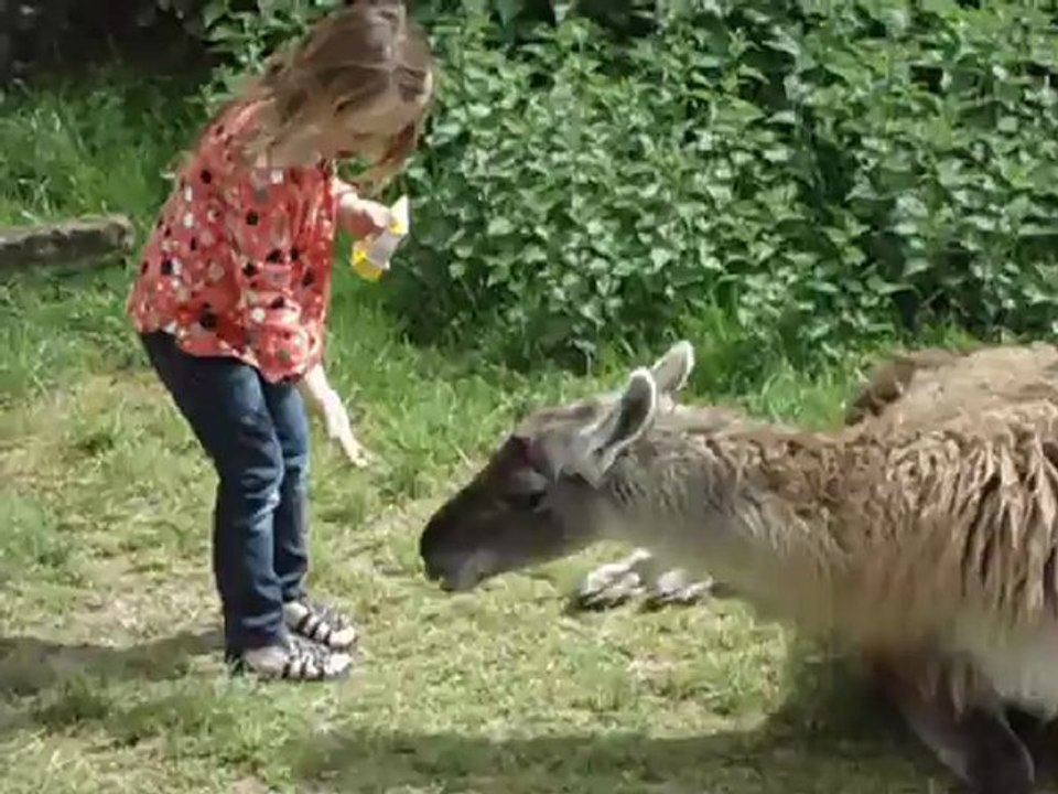 Zoo Monbeuge 20 mai 2012