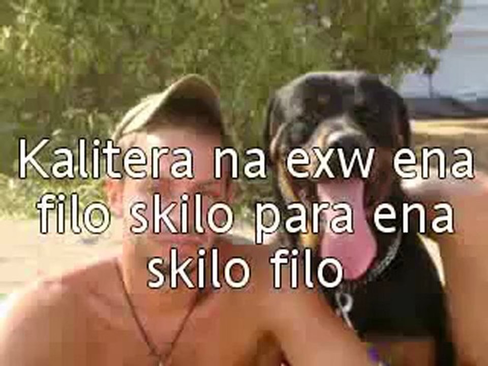 Rottweiler 1 (BLACKYS)