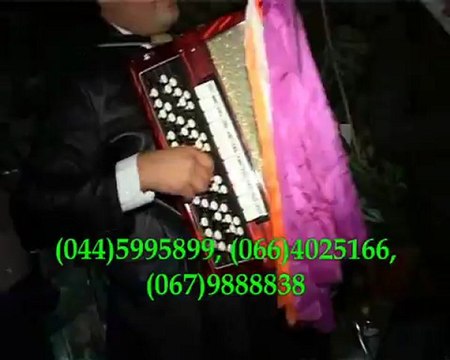 Тамада и музыка!Киев.Песня Чистые пруды.