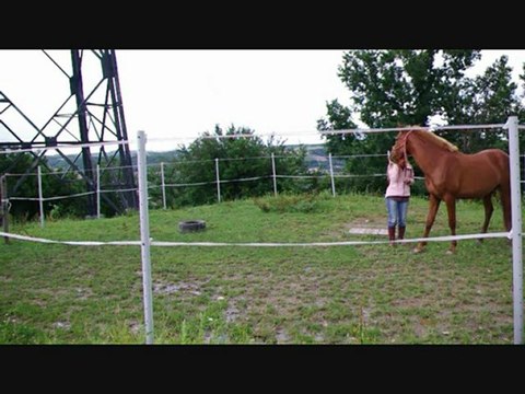 Altaîr 12 juin 12 4ème séance de pas espagnol