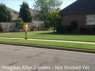 Annie - Tulsa Dog Obedience Training - Oklahoma