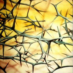 [SD Remix] Donkey Kong Country 2 - Stickerbush Symphony