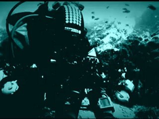 Ficarella Diving Club - La Bettolina di Lazzaro