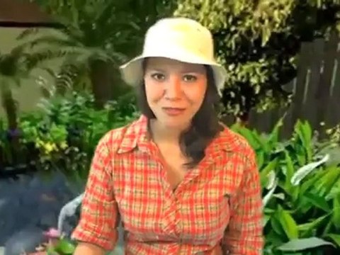 Bird Bath Green Fish Bowl & Stake, Handcrafted Ceramic Birdbaths Review