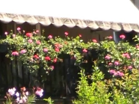 sunia le difficolta degli inquilini