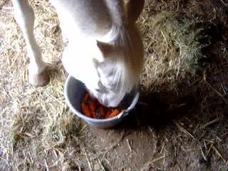 09.06 video boudins mangent