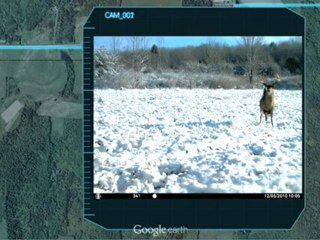 Introducing DSI: Deer Scene Investigation
