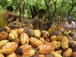 Produção e proteção na Amazônia