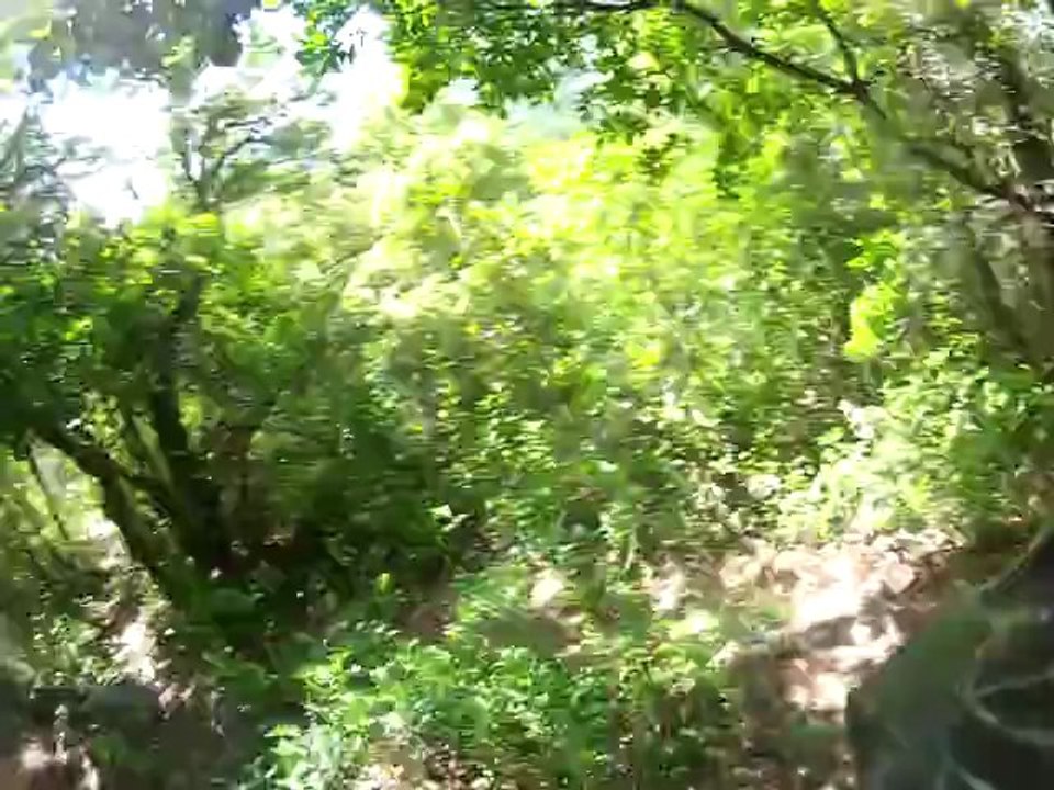 vtt var enduro cro'rois team sur les terres de sollies ville