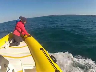 Dauphin Jersey 13 mai 2012