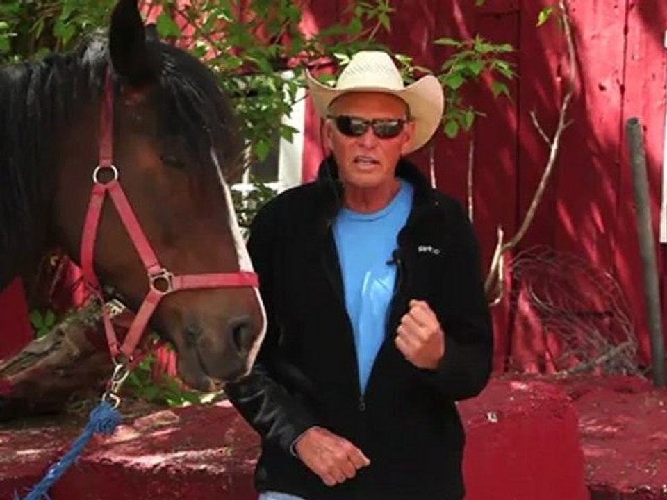 Horseback Riding Ottawa - What is the difference between Western and English horseback riding?