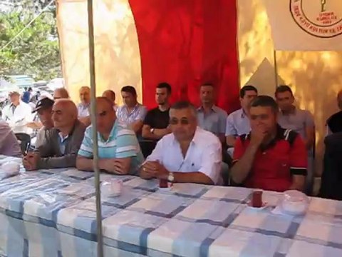 Melek Seyhan ( Demeyin )