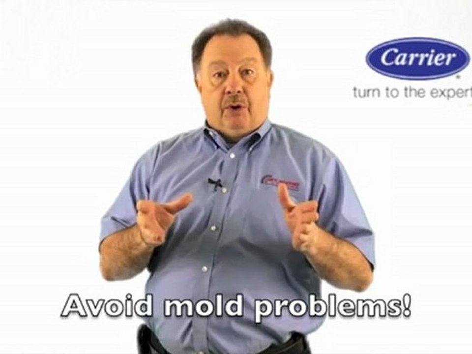 HVAC & Air Conditioning Repair - Preventing Mold