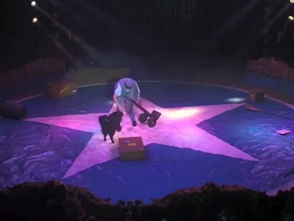 animal_70