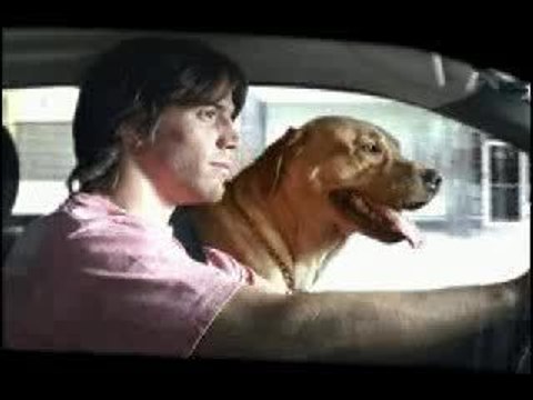 Arretez les cacahuetes