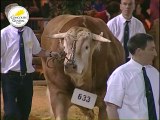 Concours Général des Animaux 2012 - Les bovins