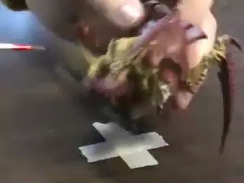 MiniWarGaming Fast Carnifex Painting (time lapsed)