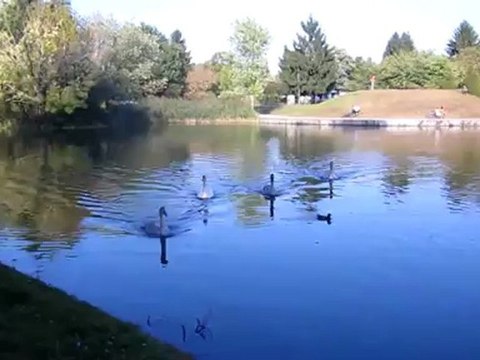 C1-C2 Idiome/Redewendungen/Redensarten/Zitate jdm (D) schwant etwas (N)