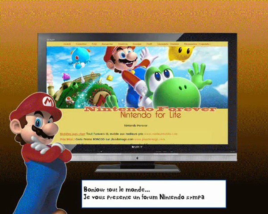 Présentation du Forum Nintendo Forever
