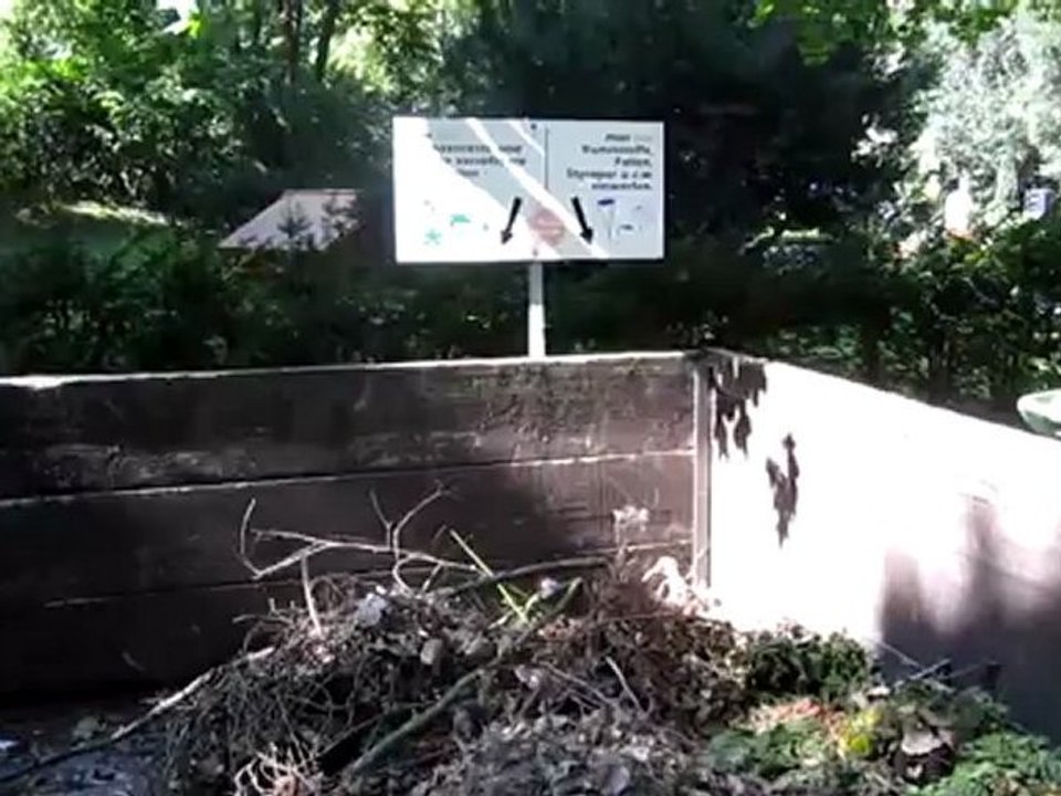 C1-C2 idiomatische Redewendungen Hörtext ein Brett vor dem Kopf haben