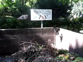 C1-C2 idiomatische Redewendungen Hörtext ein Brett vor dem Kopf haben