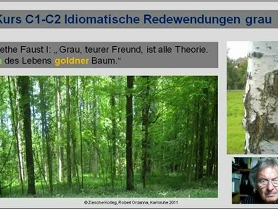 C1-C2 Goethe Grau ist alle Theorie ...