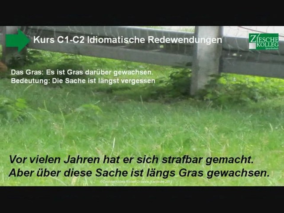 C1-C2 idiomatische Redewendungen Lesetext Gras