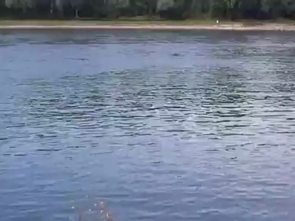 C1-C2 idiomatische Redewendungen Hörtext Stille Wasser sind tief