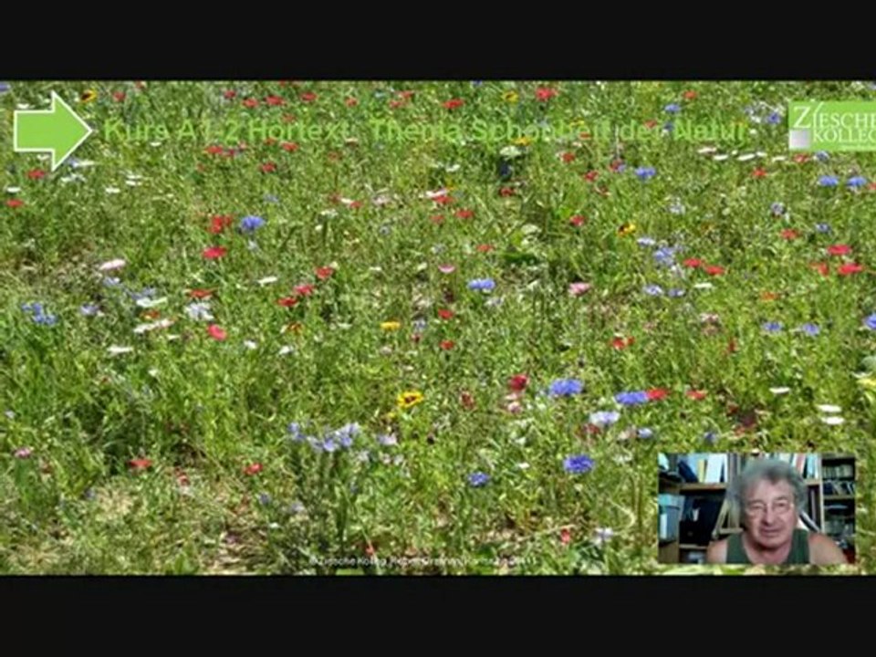 Kurs A1-A2 Hörtext Thema Schönheit und Pracht der Natur