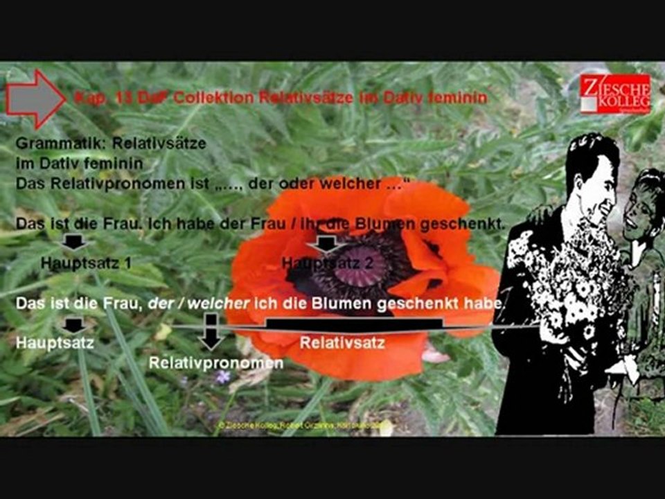 Kap. 13 DaF Collektion Grammatik Relativsatz im Dativ feminin